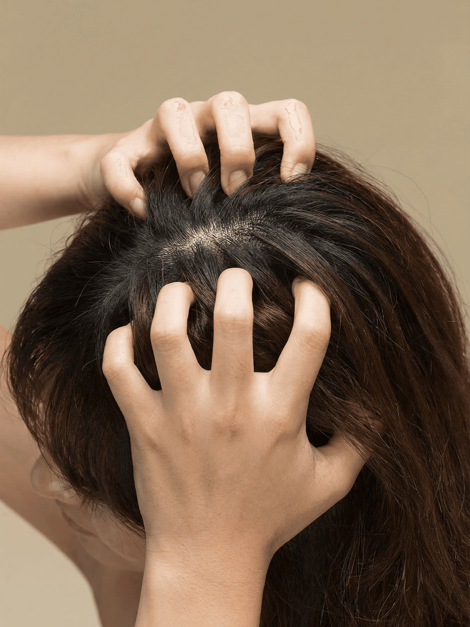 Saç Kökü + Saç Derisi Protokolü / Dökülme eğilimi, Kaşıntı–Pullanma, Tel Güçlendirme