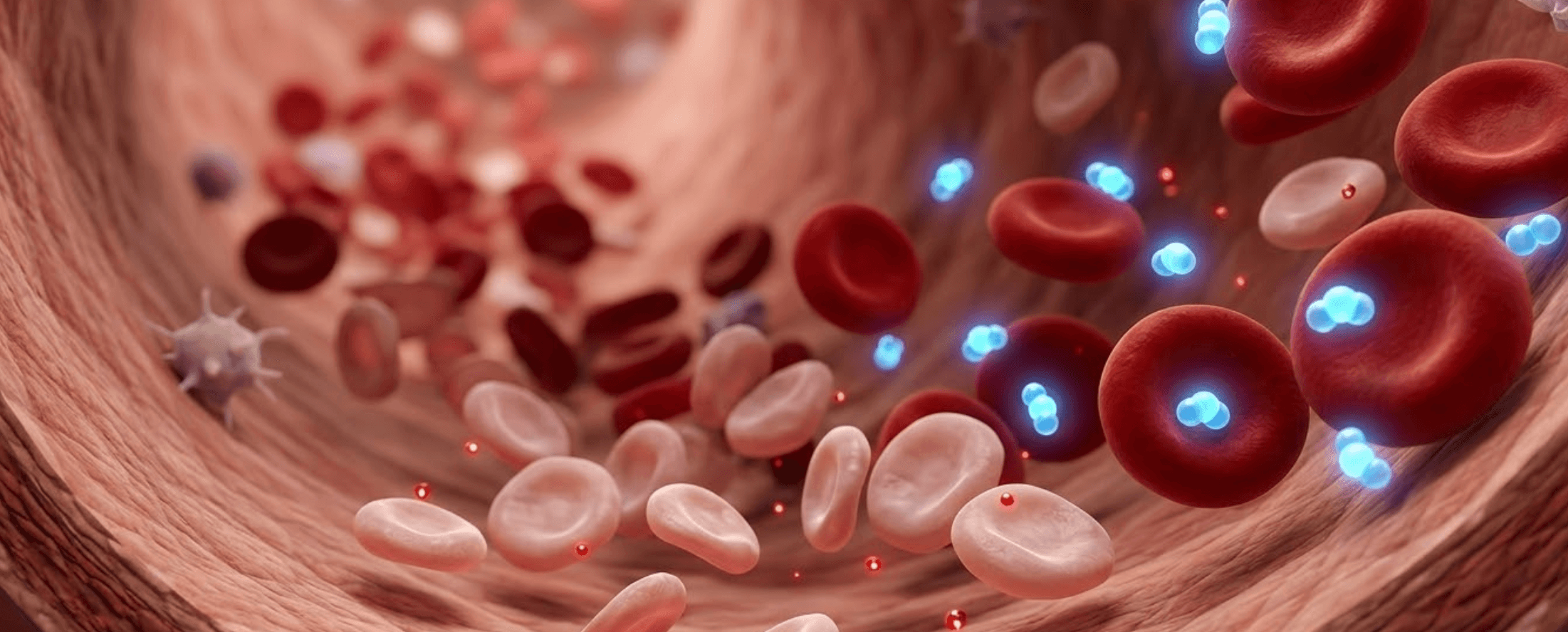 Demir Eksikliği - Kansızlık